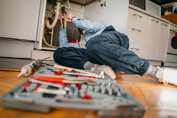 Best Plumbing Installation Services  in Thief River Falls, MN