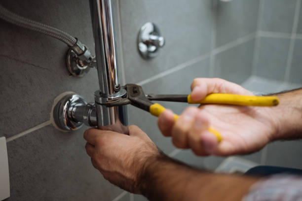 Best Same-Day Plumbing Service  in Thief River Falls, MN