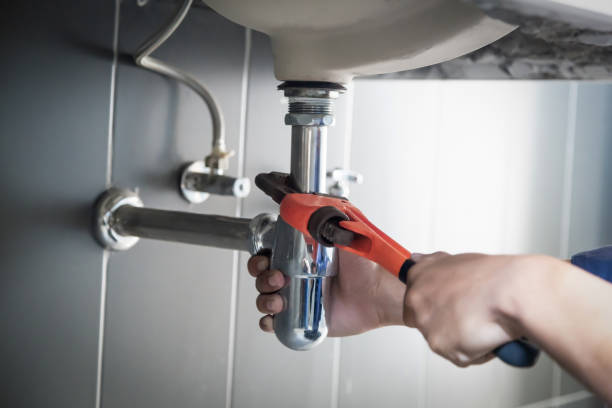Best Local Plumber Services  in Thief River Falls, MN